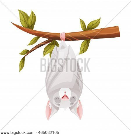 Funny Grey Bat With Cute Snout Hanging Upside Down On Tree Branch And Sleeping Vector Illustration