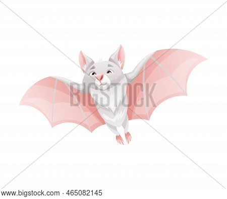Funny Grey Bat With Cute Snout And Pointed Ears Flying With Spread Wing Vector Illustration