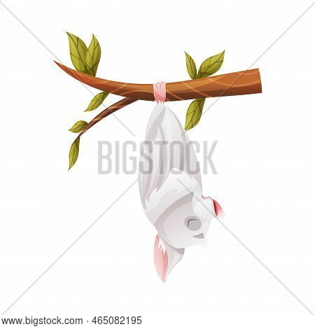 Funny Grey Bat With Cute Snout Hanging Upside Down On Tree Branch And Sleeping Vector Illustration