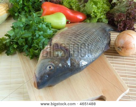 Pesce carpa