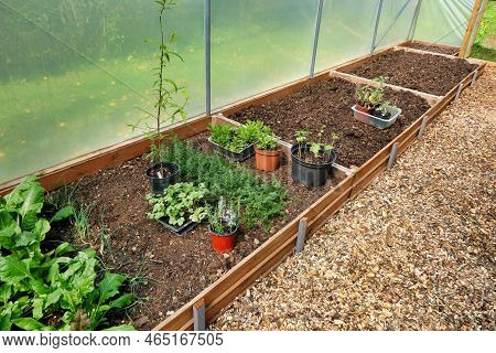 Polytunnel Under Construction - Staging Supports Connected Polytonal Hoops And Vegetable Beds Being 