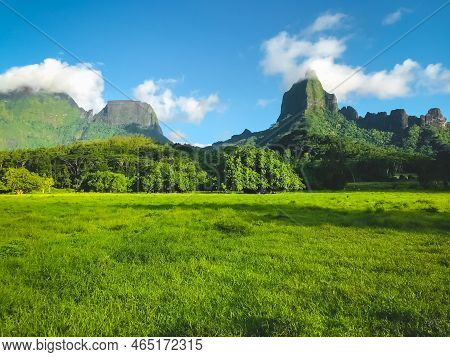 Green Meadow Fiels Mountain Landscape, Forest And Mount Range. Awesome Alpine Highlands In Sunny Day