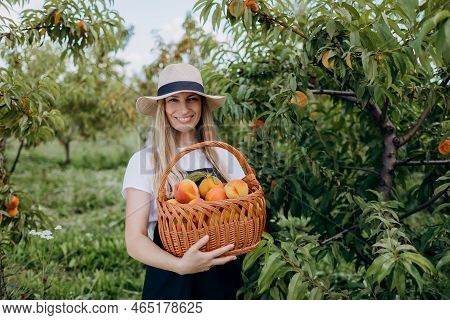 Beautiful Female Gardener Holding Wicker Basket Full Of Fresh Organic Fruit Among Peach Orchard. Smi