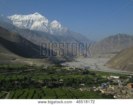 Grüne Felder und Snow Capped Nilgiri Mountain