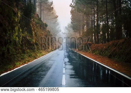 Long Way Road In The Mountain With Forest Trees Wood Around And Fog Or Clouds At The End Like Fog Ba