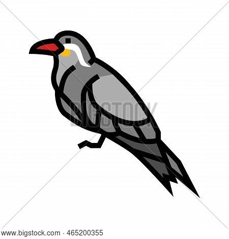 Inca Tern Bird Exotic Color Icon Vector. Inca Tern Bird Exotic Sign. Isolated Symbol Illustration
