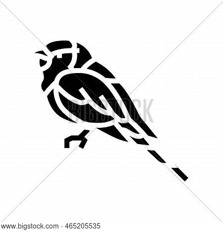 Lilac Breasted Roller Bird Exotic Glyph Icon Vector. Lilac Breasted Roller Bird Exotic Sign. Isolate