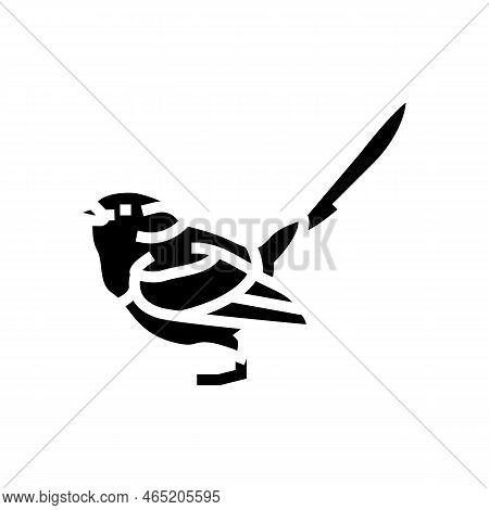 Splendid Fairywren Bird Exotic Glyph Icon Vector. Splendid Fairywren Bird Exotic Sign. Isolated Symb