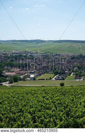 Panoramic View On Chablis Grand Cru Appellation Vineyards With Grapes Growing On Limestone And Marl