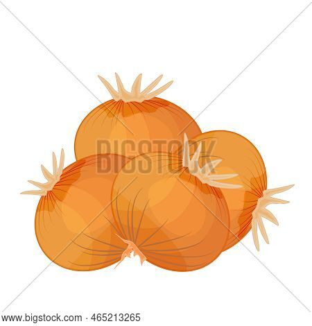 Onion Isolated On White Background. Whole Onion Bulbs Stack. Organic Farm Fresh Root Vegetables. Ing
