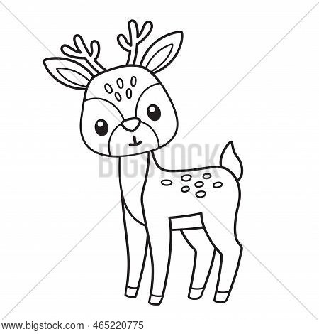 Vector Coloring Book Illustration. Funny Deer In Cartoon Style