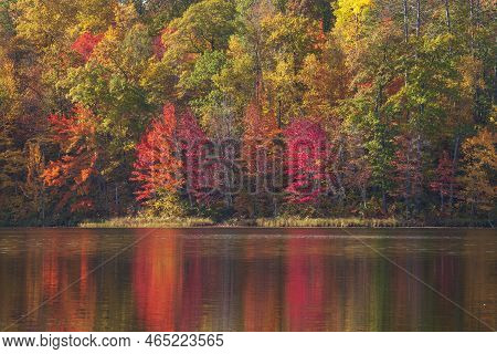 Trees In Brilliant Autumn Color Reflecting In A Small Lake In Northern Minnesota