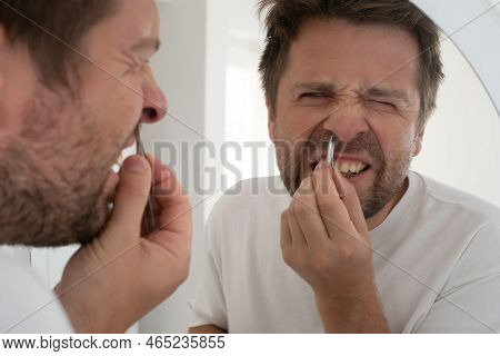 Suffering Bearded Man Plucking Out His Nose Hair.