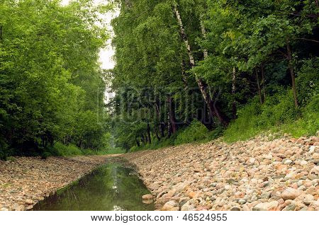 Stream