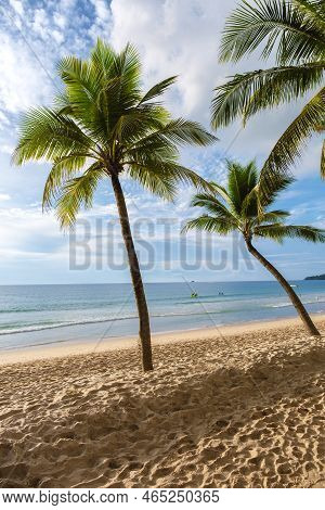 Palm Trees During Sunset On The Beach Of Bang Tao Beach Phuket Thailand