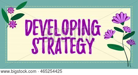 Sign Displaying Developing Strategy. Business Overview Organizations Process Changes To Reach Object