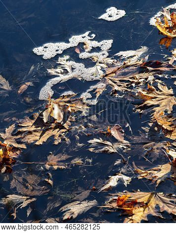 Leaves On The Surface Of The Creek And Foam Dots Create Patterns And Textures, Rock Creek Canyon, Ka