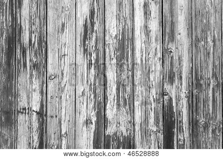 Černá a bílá textura dřeva