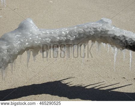 Frozen Tree Limb With Icicles, In Winter, On The Beach At Sandy Hook, Gateway National Recreation Ar
