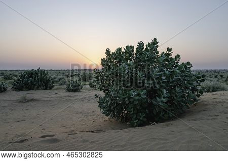 Sun Rising At The Horizon Of Thar Desert, Rajasthan, India. Tourists From Across India Visits To Wat
