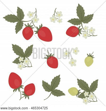 Cartoon Set Of Strawberry. Berry, Leaf And Flowers