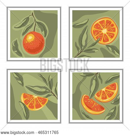 Set Of Modern Posters With Oranges Fruits