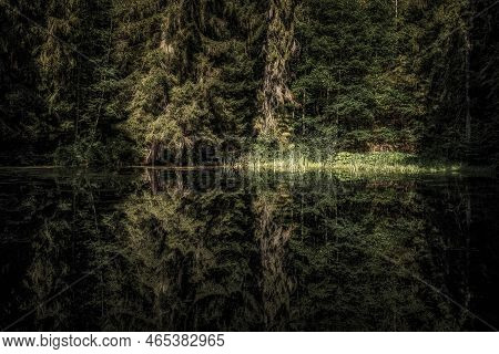 Reflection Of Coniferous And Deciduous Trees On The Quiet Water Surface Of A Lake Dark Forest.