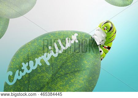 Cartoon 3d Model Fat Caterpillar Green And White With Yellow And Black Pattern Cartoon Enhance Child