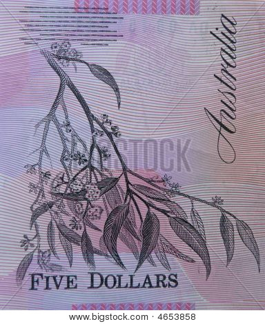 Close-up Aus $5
