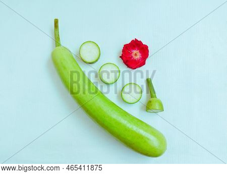 Long Bottle Gourd Squash ( Lauki Doodhi Dudhi ) Green Vine Vegetable Fresh Organic Food Agriculture 
