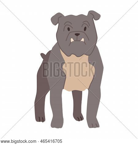 Bulldog Breed Of Canine Animal, Isolated Portrait Of Puppy Character. Doggo Personage, Cute Pup. Dom