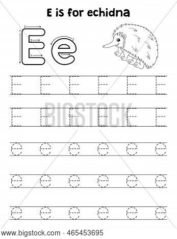 A Cute And Funny Tracing Page Of A Echidna. Provides Hours Of Tracing Fun For Children. To Trace, Th