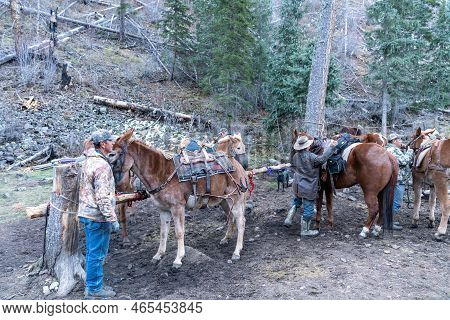 Glenwood, New Mexico - October 27, 2022: Ranchhands Saddle Up Horses For A Hunting Trip At A Campgro