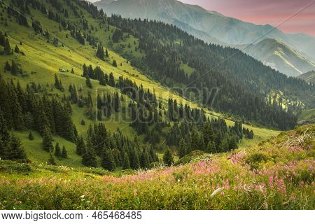 Famous Summer Tourist Hiking Road In Almaty Mountains - Kimasar Gorge. Nature Of Central Asia