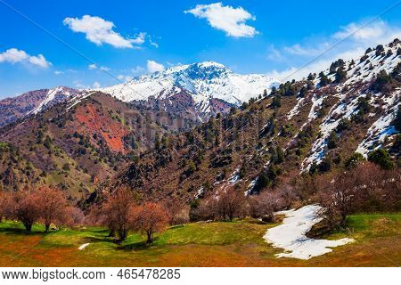 Beldersay Mountain In Tian Shan Range, Chimgan Region Near Taskent City In Uzbekistan In Spring, Vie
