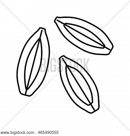 Barley Grain Unpeeled Line Icon Vector. Barley Grain Unpeeled Sign. Isolated Contour Symbol Black Il