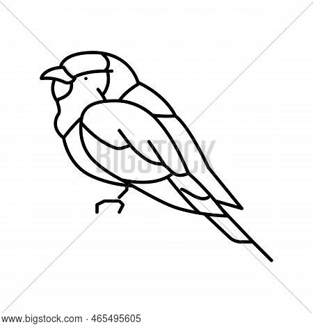 Lilac Breasted Roller Bird Exotic Line Icon Vector. Lilac Breasted Roller Bird Exotic Sign. Isolated