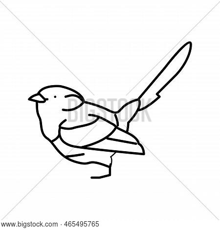 Splendid Fairywren Bird Exotic Line Icon Vector. Splendid Fairywren Bird Exotic Sign. Isolated Conto