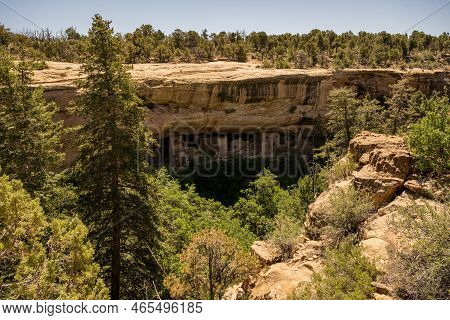 Trees Stand Tall Around Spruce Tree House In Mesa Verde National Park