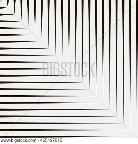 Black And White Modern Geometric Design Template. Two Striped Isosceles Triangles Touch Each Other A