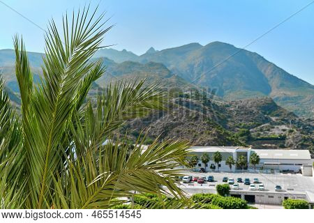Car Park Of Mojacar Village On Background, Lush Green Palm Tree Leaves On Foreground. Europe, Almeri