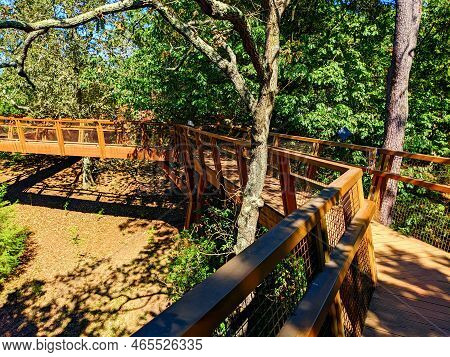 Serralves Treetop Walkway In Beautiful Park, Famous Touristic Destination, Sunshine, Green Foliage T