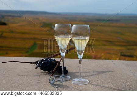 Tasting Of White Brut Champagne Wine Outdoor With View On Colorful Autumn Pinot Noir Grand Cru Viney
