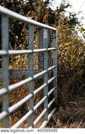 Leading Lines Metal Farmers Gate. 
Thick Metal Gate Leading To Wooden Post To Seperate Fields On A F