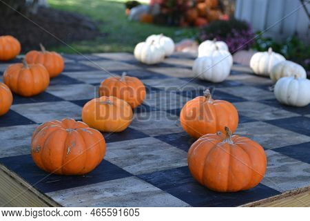 Chessboard Table With Orange And White Pumpkins