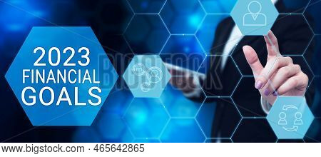 Text Showing Inspiration 2023 Financial Goals. Word Written On Highest Quality Done In All Fields Pr