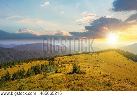 Green Nature Environment Of Trascarpathia At Sunset. Beautiful Scenery In Mountains Of Chornohora Ri
