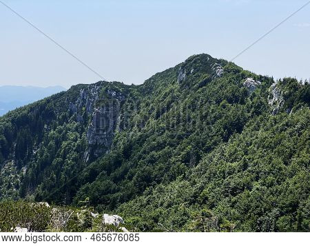 The Peak Southern Small Risnjak (1,446 M) In Risnjak National Park, Crni Lug - Croatia (vrh Južni Ma
