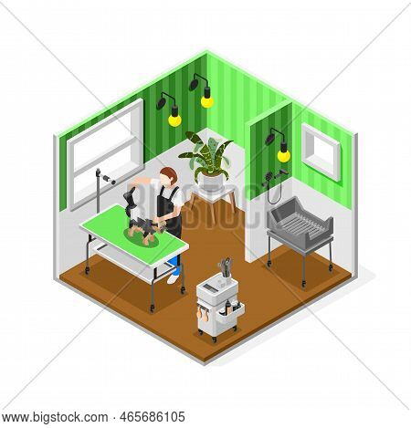 Grooming Salon Isometric Composition With Room Interior View Tools And Appliances And Female Special
