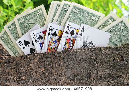 Money tree and playing cards